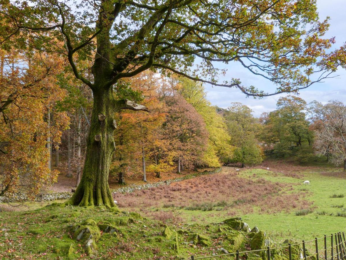 Yew - Woodland Cottages โบว์เนส ออน วินเดอเมียร์ ภายนอก รูปภาพ