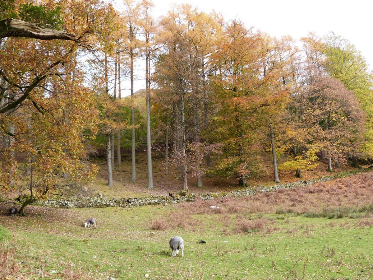 Yew - Woodland Cottages โบว์เนส ออน วินเดอเมียร์ ภายนอก รูปภาพ